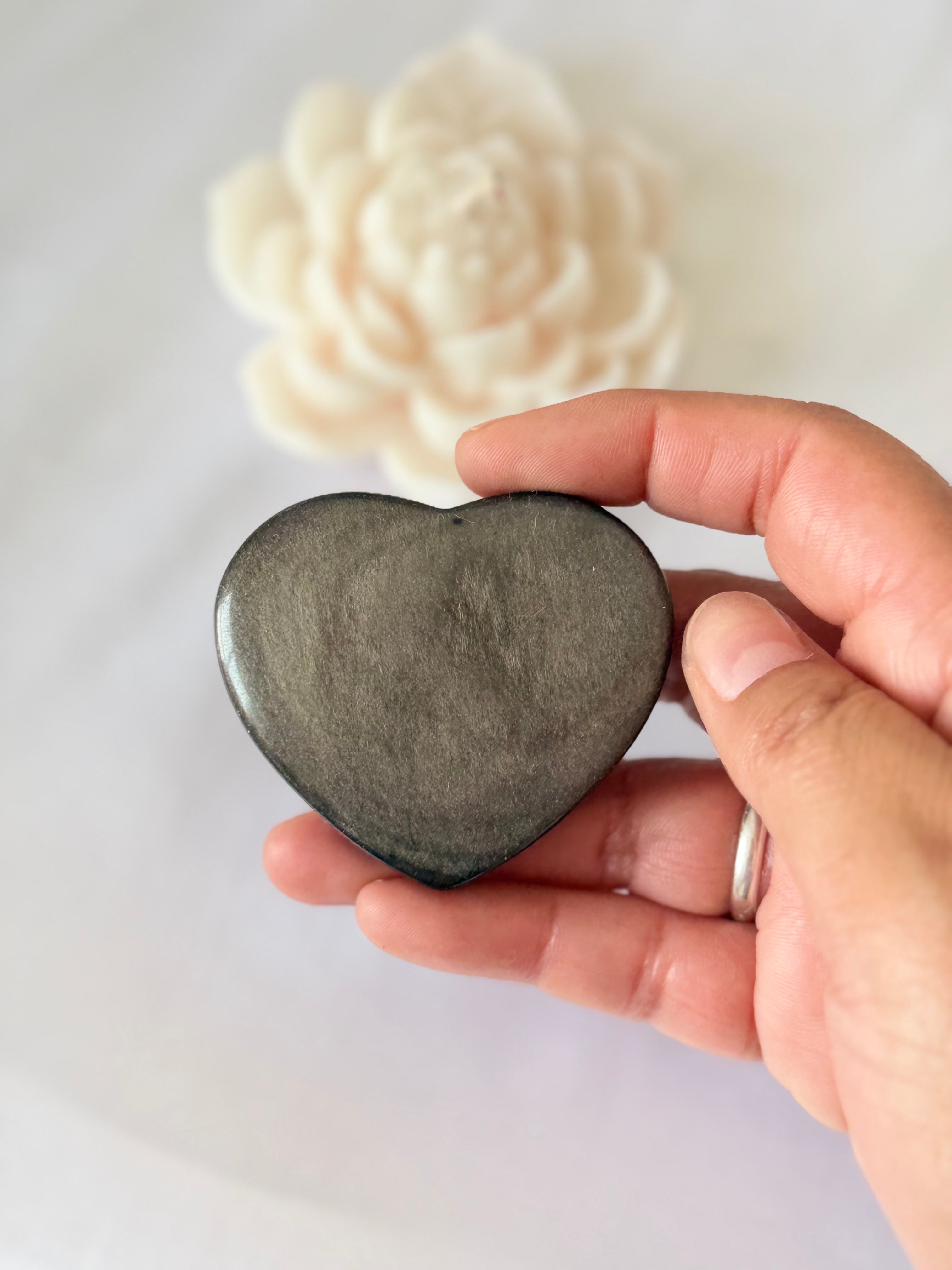 Corazón Guardián – Obsidiana Plateada