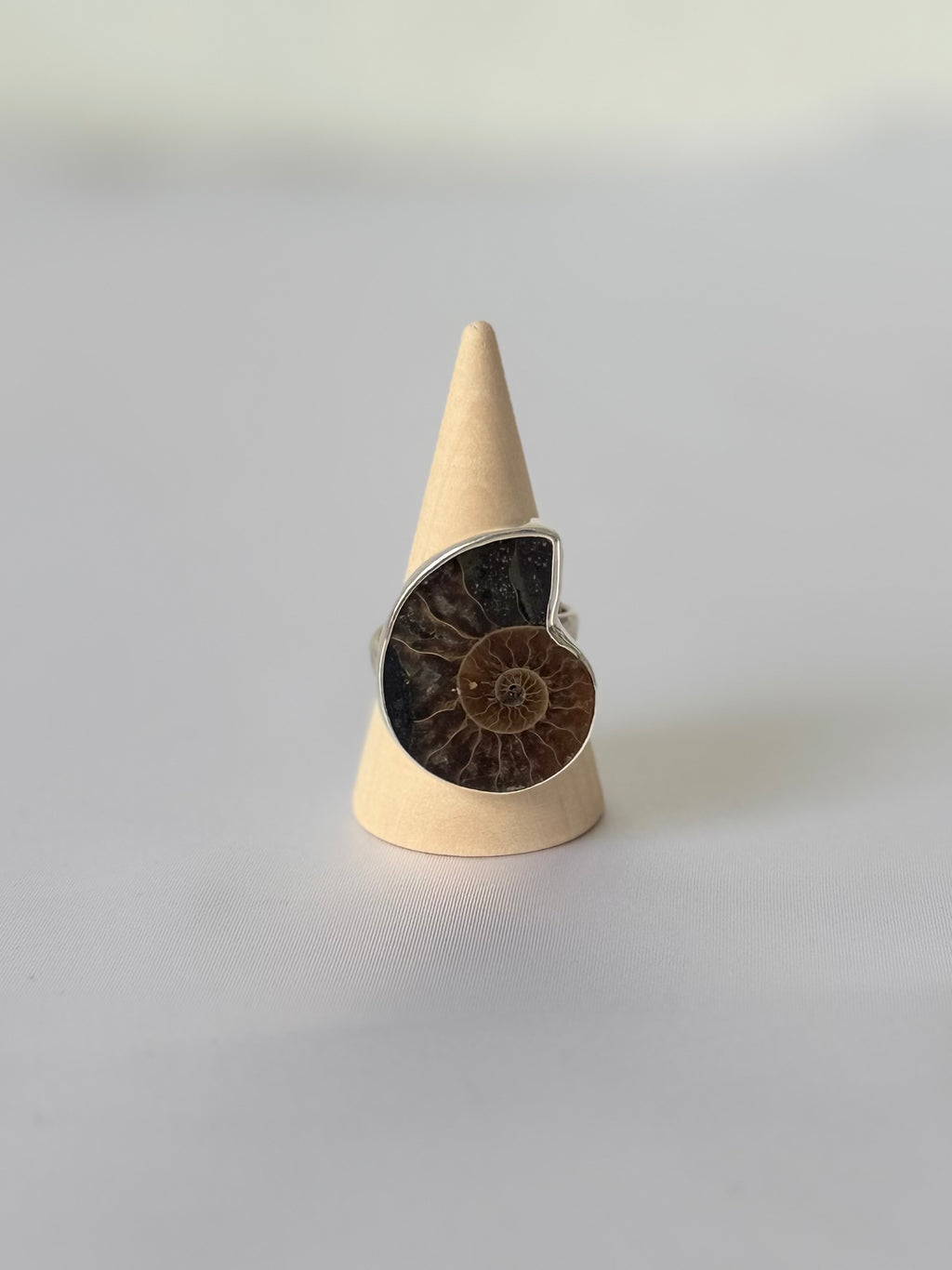 Anillo de Amonite Natural en Plata 950 | Memoria de la Tierra