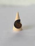 Anillo de Amonite Natural en Plata 950 | Memoria de la Tierra