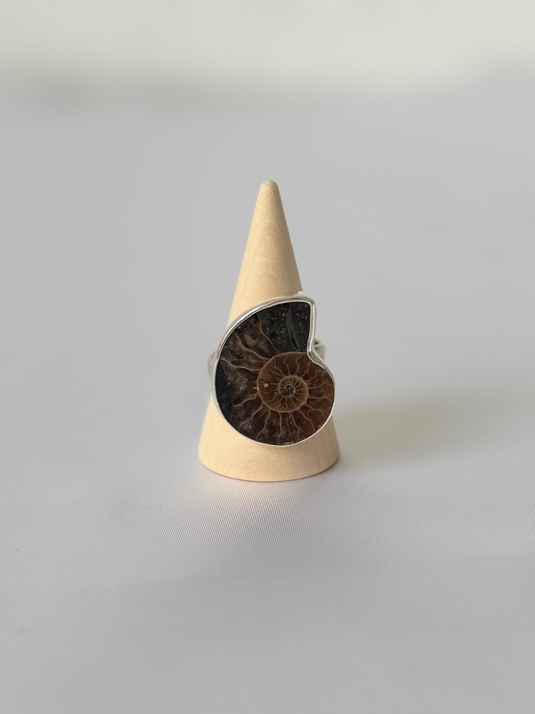 Anillo de Amonite Natural en Plata 950 | Memoria de la Tierra
