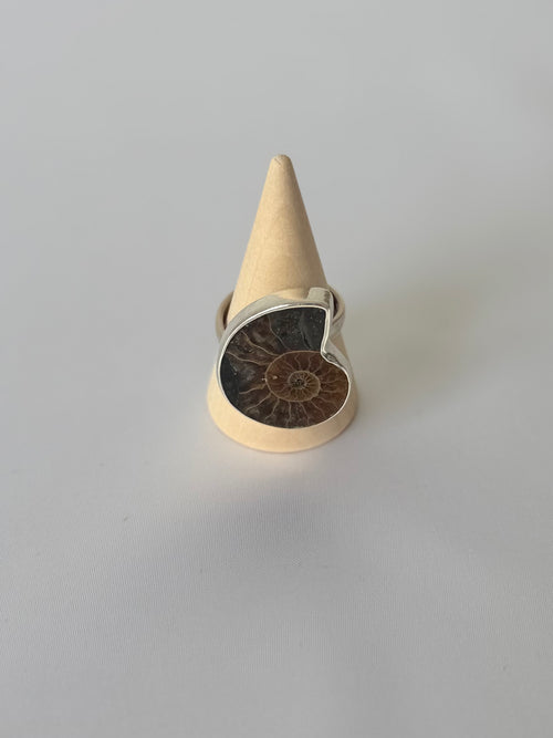 Anillo de Amonite Natural en Plata 950 | Memoria de la Tierra