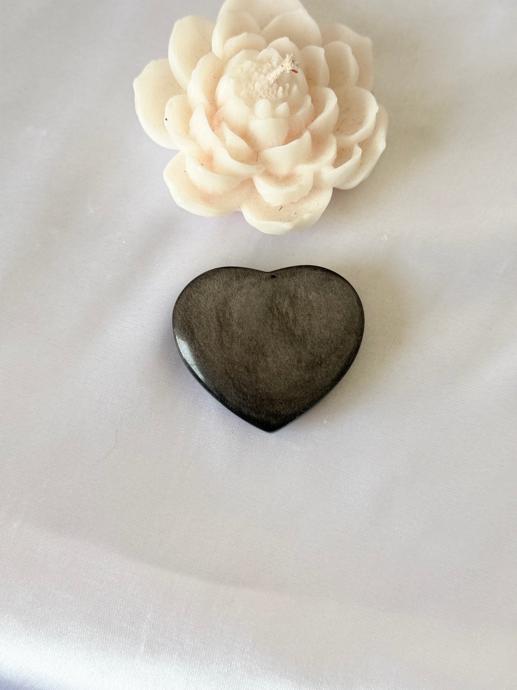 Corazón Guardián – Obsidiana Plateada